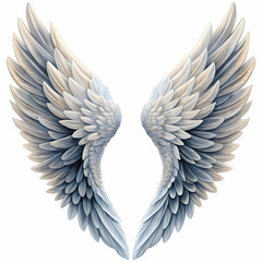 Fototapeta premium Elegant Angel Wing Isolated on White Background, Featuring Soft Feathers,