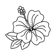 hibiscus flower icon, hibiscus flower line art - simple line art of hibiscus flower, perfect for hibiscus flower logos and icons
