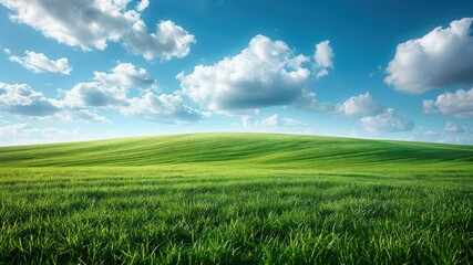 Obraz premium A serene landscape with rolling green hills and a bright blue sky.