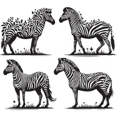 create zebra Silhouette with white background