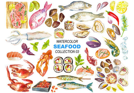 Vector watercolor painted seafood clipart. Hand drawn design elements isolated on white background.