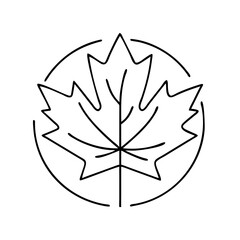 Obraz premium red maple leaf emblem icon, red maple leaf emblem line art - simple line art of red maple leaf emblem, perfect for red maple leaf emblem logos and icons