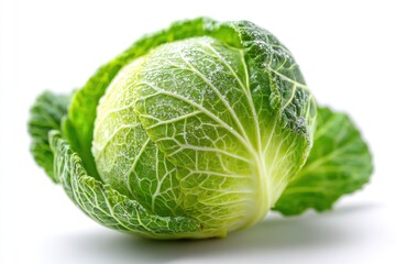 Obraz premium Savoy Cabbage Close Up Fresh Vegetable