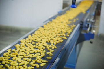 Breaded chicken production line in food factory  automated conveyor belt system in industrial food processing plant