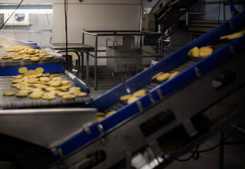 Breaded chicken production line in food factory  automated conveyor belt system in industrial food processing plant