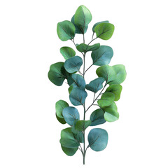 Lush Green Eucalyptus Branch Vibrant Greenery Botanical Detail Natural Foliage Studio Shot Isolated
