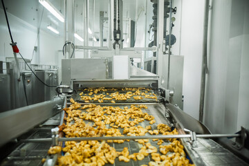 Breaded chicken production line in food factory  automated conveyor belt system in industrial food processing plant