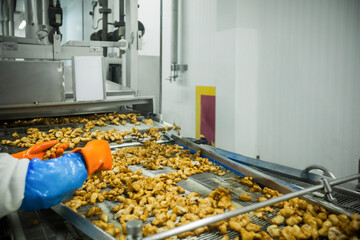 Breaded chicken production line in food factory  automated conveyor belt system in industrial food processing plant © Buonaventura