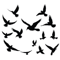 black silhouette logo of a bird flay 