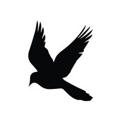 black silhouette logo of a flying crow 
