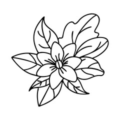 tropical flower icon, tropical flower line art - simple line art of tropical flower, perfect for tropical flower logos and icons