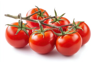 Tomato on Vine Red Fresh