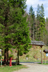 Zdjęcie przy wejściu na kemping w lesie. Drewniana Pergola, Tablica Ogłoszeniowa © Nina