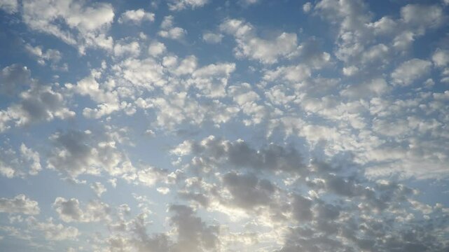 Altocumulus high cumulus heaped cloud genus belongs to stratocumuliform. Globular masses or rolls in layers or patches. Cumuliform stratocumuliform clouds, altocumulus signifies convection. Blue sky.