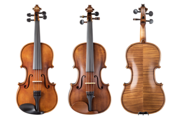 Set of classic violins isolated. png transparency