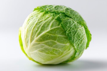 Fototapeta premium Savoy Cabbage Head