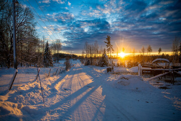 A vibrant sunset casts colorful hues over cow pastures and a forest road in a snowy Swedish winter...