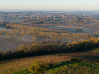 Obraz premium France, Gironde, Langoiran, Aerial view of Premieres Cotes de Bordeaux vineyard in Entre-Deux-Mers, Bordeaux vineyard at sunrise with fog over the Garonne river. High quality photo