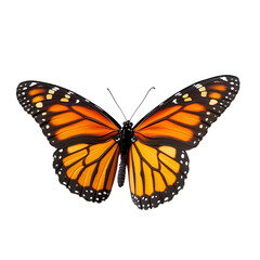Fototapeta premium Monarch butterfly isolated on white background. PNG File