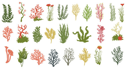 Set of coral cute cartoon hand draw SVG. illustration set tropical and seaweed underwater flowing clip art transparent background.