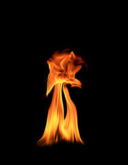 Isolated abstract flames collection on black background. Flames on black background. Concept of...