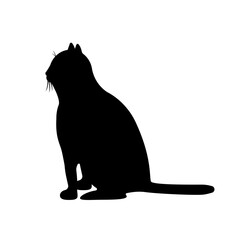 Black silhouette of a fat cat isolated on a white background.Vector illustration of a pet.