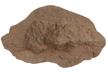 Fossil footprint, possibly ancient animal, preserved in rock