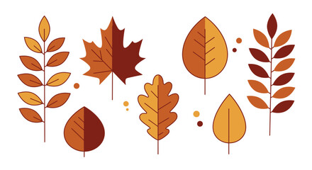 Obraz premium Minimalist autumnal foliage arrangement featuring maple, oak, and other stylized leaves