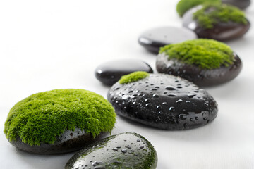 Wet Black Stones with Green Moss