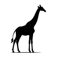 giraffe vector illustration