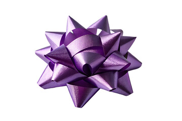 Purple Decorative Gift Bow