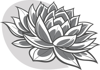 Fototapeta premium Succulent Plant Illustration Botanical & Stylish Art Design