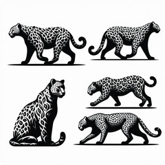 create leopard Silhouette with white background 