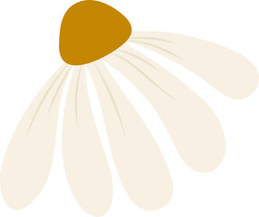 Hand-drawn daisy flower