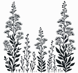 Hand drawn wild flowers Botanical drawing. line art grasses, stems illustration. Black and White Meadow herbs. Herbaceous blooming plants. Set of outline doodle floral sketch Leaves
