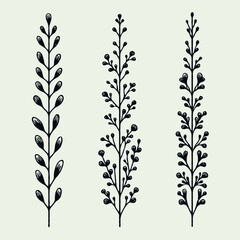 Hand drawn wild flowers Botanical drawing. line art grasses, stems illustration. Black and White Meadow herbs. Herbaceous blooming plants. Set of outline doodle floral sketch Leaves

