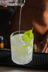 Refreshing Light Green Cocktail Icy Glass Mint Garnish Elegant Pour