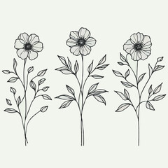 Hand drawn wild flowers Botanical drawing. line art grasses, stems illustration. Black and White Meadow herbs. Herbaceous blooming plants. Set of outline doodle floral sketch poppies, hellebore