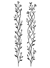 Hand drawn wild flowers Botanical drawing. line art grasses, stems illustration. Black and White Meadow herbs. Herbaceous blooming plants. Set of outline doodle floral sketch Leaves
