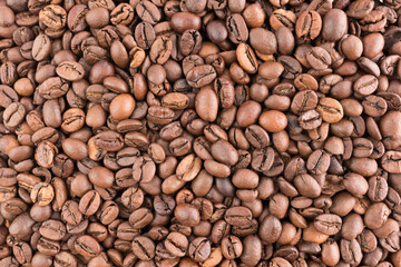 Freshly roasted coffee beans close-up