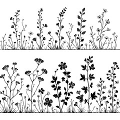 Hand drawn wild flowers Botanical drawing. line art grasses, stems illustration. Black and White Meadow herbs. Herbaceous blooming plants. Set of outline doodle floral sketch Leaves