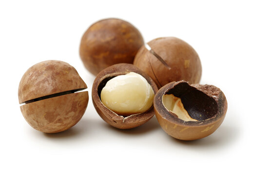 Shelled and unshelled macadamia nuts on white background