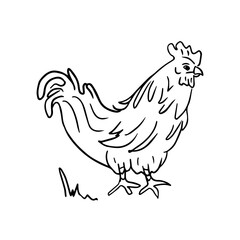 A hand-drawn silhouette of a rooster in the style of doodles. Wildlife, the concept of farming. Raising animals. Vector illustration for printing on clothes, packaging, coloring books