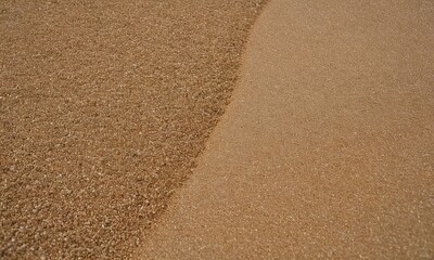 Sandy Beach Texture with Distinct Grain Sizes and Smooth Transition Zone