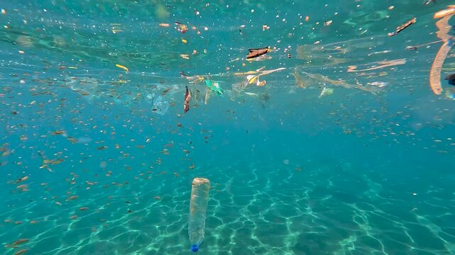 Shoals of tropical fish swimming amongst plastic trash and rubbish debris floating in ocean