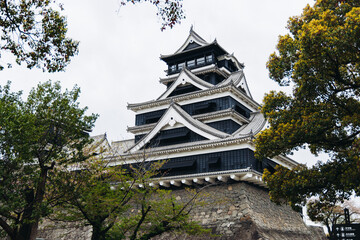 Kumamoto Castle, exterior view, Kumamoto city, Chuo-ku, Kyushu island region, Japan, spring landscape view and blooming sakura cherry blossom, Kumamoto prefecture, travel to Japan, Japanese castle