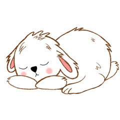 rabbit1
