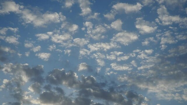 Altocumulus high cumulus heaped cloud genus belongs to stratocumuliform. Globular masses or rolls in layers or patches. Cumuliform stratocumuliform clouds, altocumulus signifies convection. Blue sky.