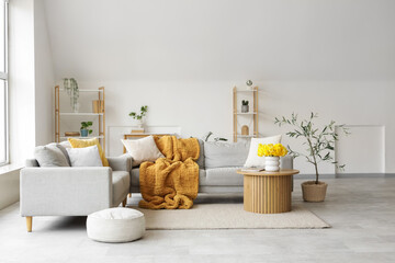 Interior of light living room with grey sofas, shelf units and plants