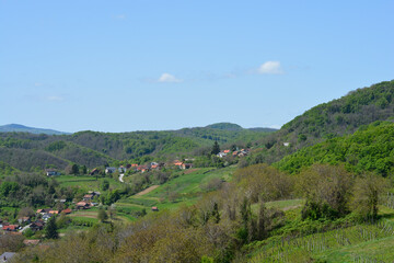 Naklejka premium A scenic view from Gornje Psarjevo in Croatia looks northeast over rolling green hills dotted with houses under a clear blue sky